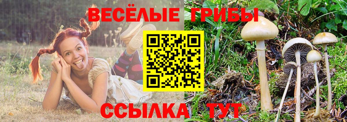 Петропавловск-Камчатский  Псилоцибиновые грибы мицелий  наркотики  Вход с VPN  Псилоцибиновые грибы Magic Shrooms 