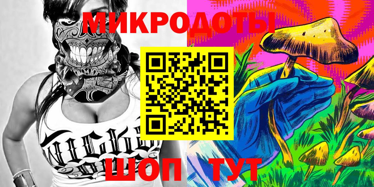 Псилоцибиновые грибы Psilocybe Петропавловск-Камчатский